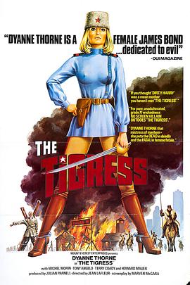 seo优化知识新站如何优化